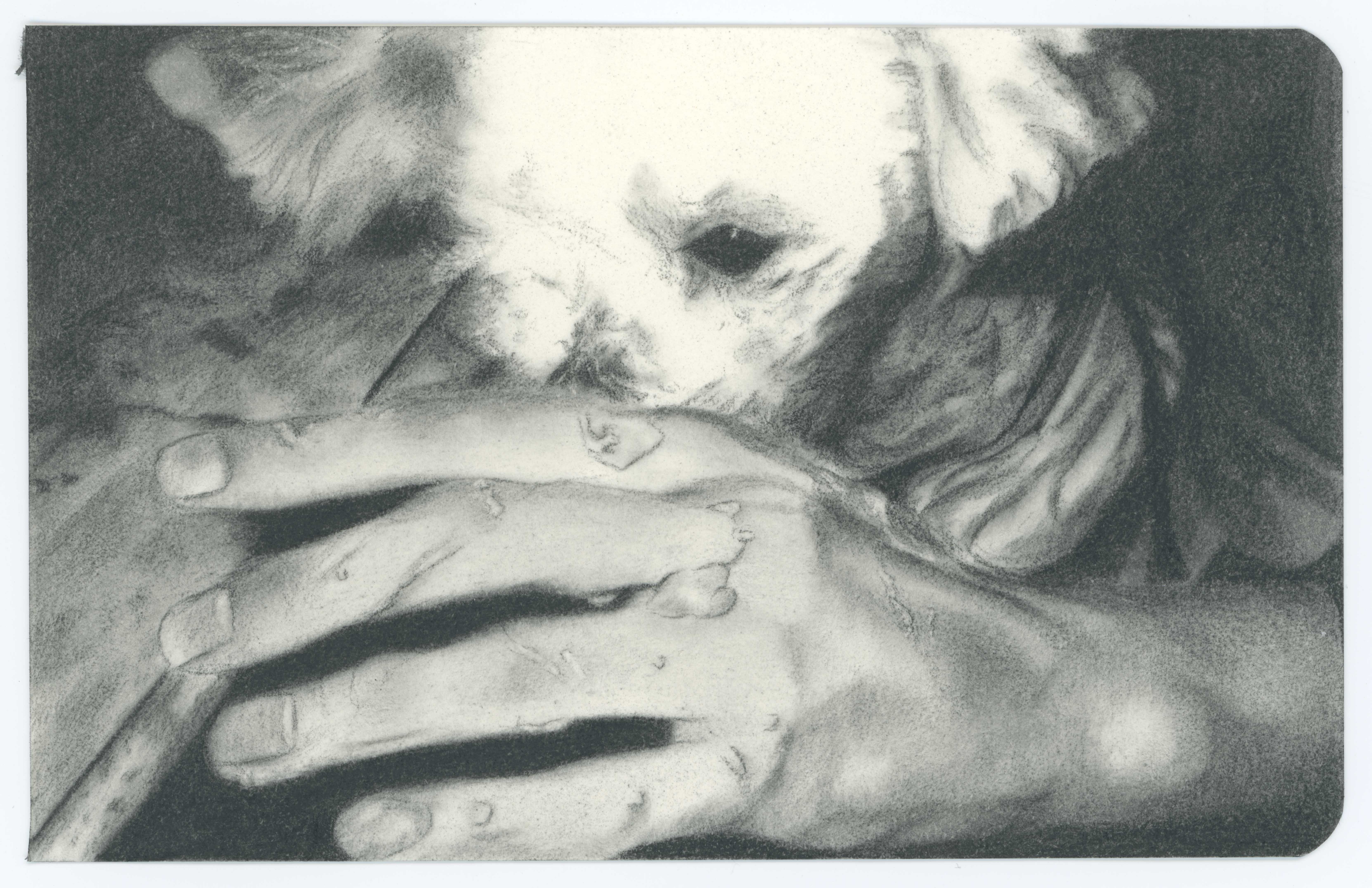 detail 28